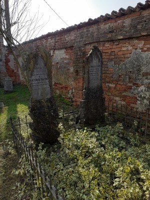 20200126_120444 - Copia